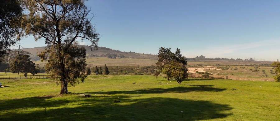 0 Bedroom Property for Sale in Haasendal Western Cape